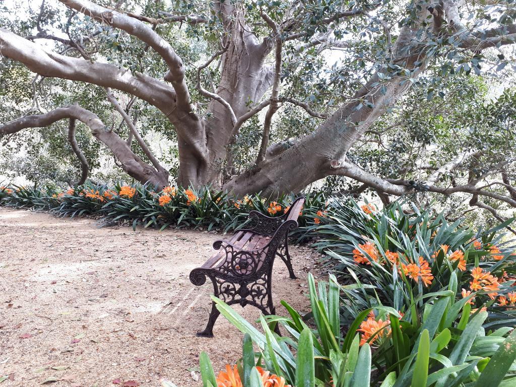 Plynlimmon-1860 Heritage Cottage Or Double Room With Orchard View Kurrajong Eksteriør bilde